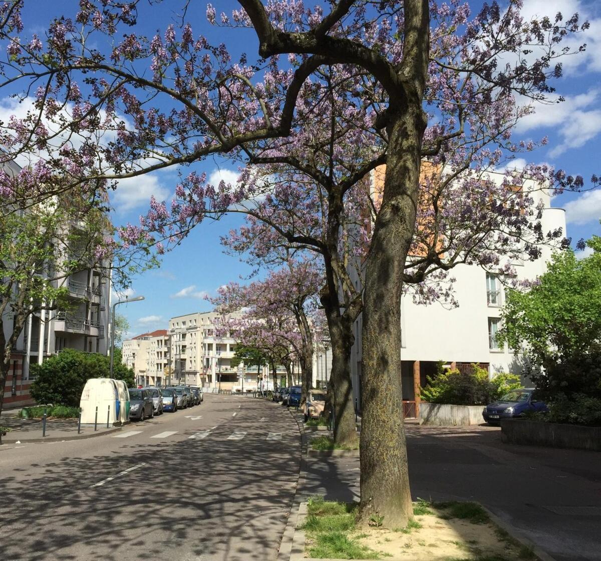 Grand T2 Confort - Cinema Canal, Netflix, Apple Tv, Amazon Prime, Ocs Appartement Nancy